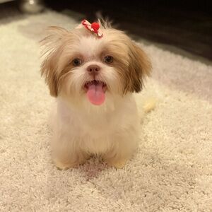 Meet your Posher, Maria